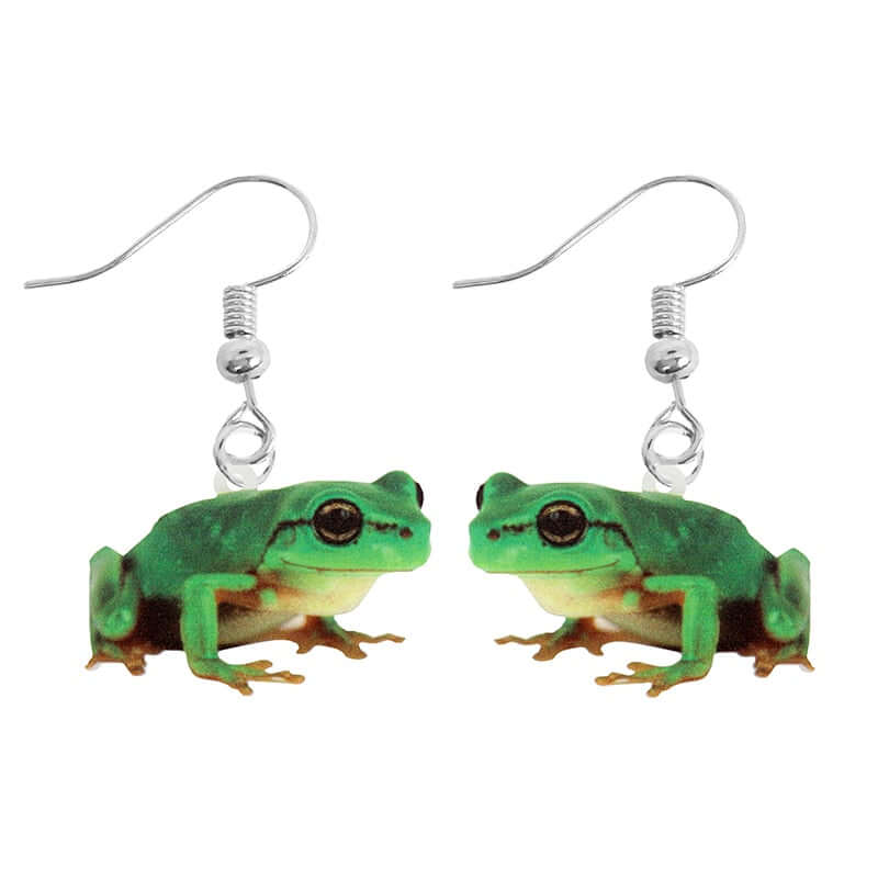 Peris Gems 21 Acrylic Animal Dangle Clasp Earrings for Women SHEIN Amazon Temu