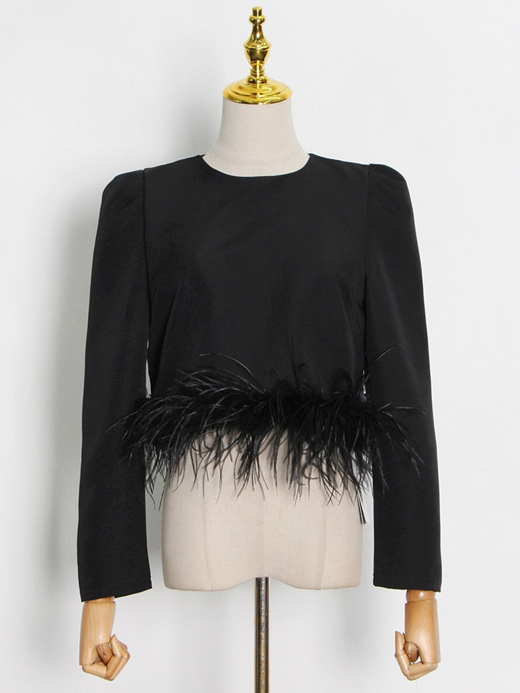 Peris Gems Casual Plain Feather Shirt for Women | Round Neck Loose Long Sleeve Shirt Casual Plain Feather Shirt for Women |Round Neck Long Sleeve SHEIN Amazon Temu