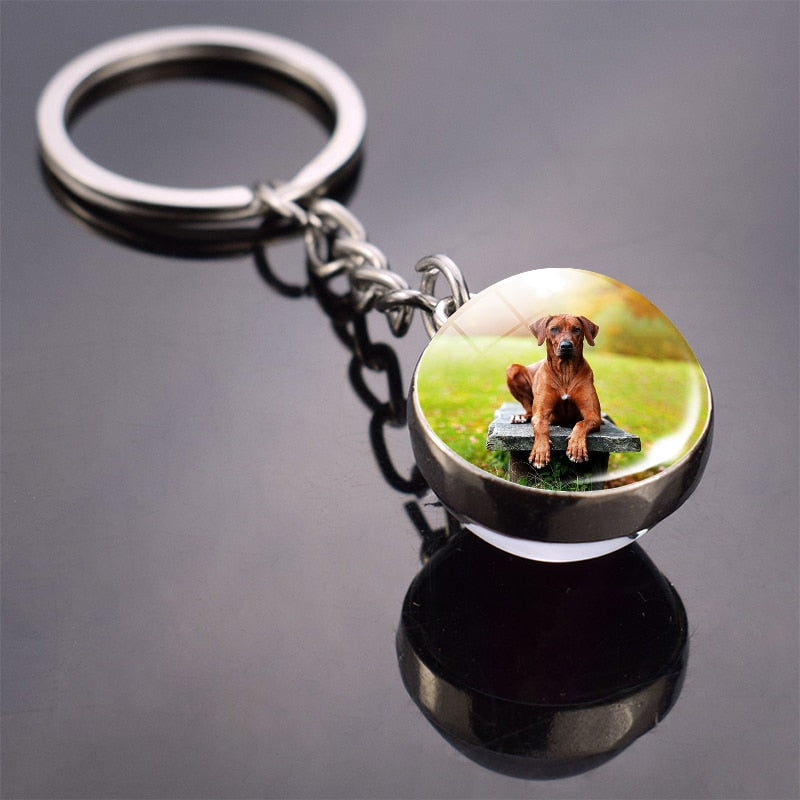 Peris Gems Cute Animal Glass Ball Keychains | French Bulldog Labrador Keychains SHEIN Amazon Temu