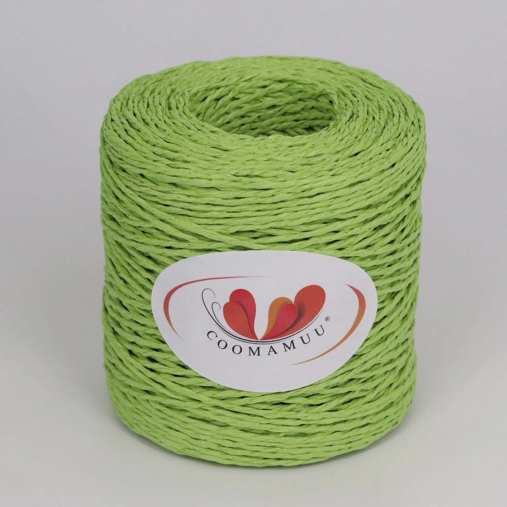 Peris Gems fruit green 100g/ball Raffia Yarn Kintting Paper Straw Yarn for Crocheting Hat Fancy Yarn Flower Packing Summer Fashion Handmade Material SHEIN Amazon Temu