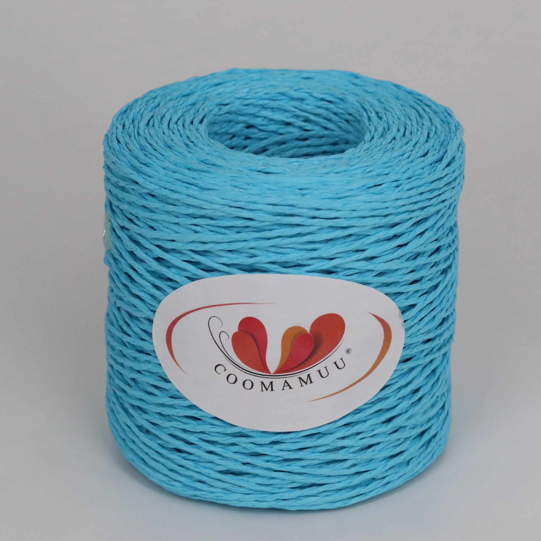 Peris Gems lake blue 100g/ball Raffia Yarn Kintting Paper Straw Yarn for Crocheting Hat Fancy Yarn Flower Packing Summer Fashion Handmade Material SHEIN Amazon Temu