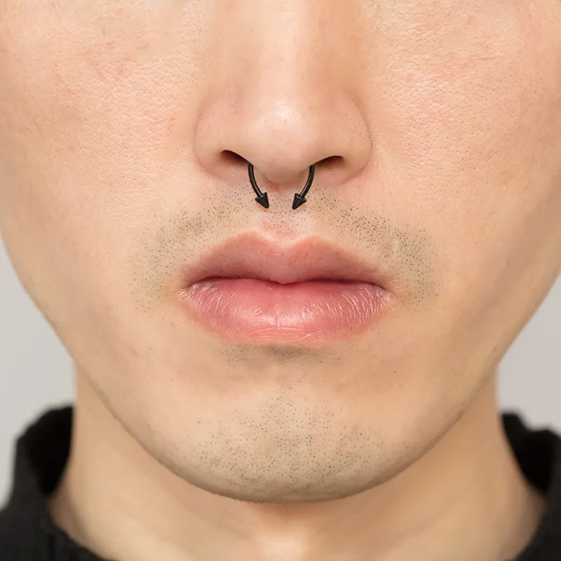 Peris Gems Magnetic Horeshoe Septum Fake Nose Ring Non-Piercing SHEIN Amazon Temu
