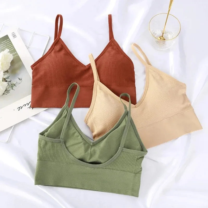 Peris Gems Seamless Women Push Up Bra Beautiful Back Bras Fitness Tops Brassiere Bralette Female Tube Top Underwear Bralet With Chest Pad Seamless Women Push Up Bra Beautiful Back Bras Fitness Tops Brassiere Bralette Female Tube Top Underwear Bralet With Chest Pad SHEIN Amazon Temu