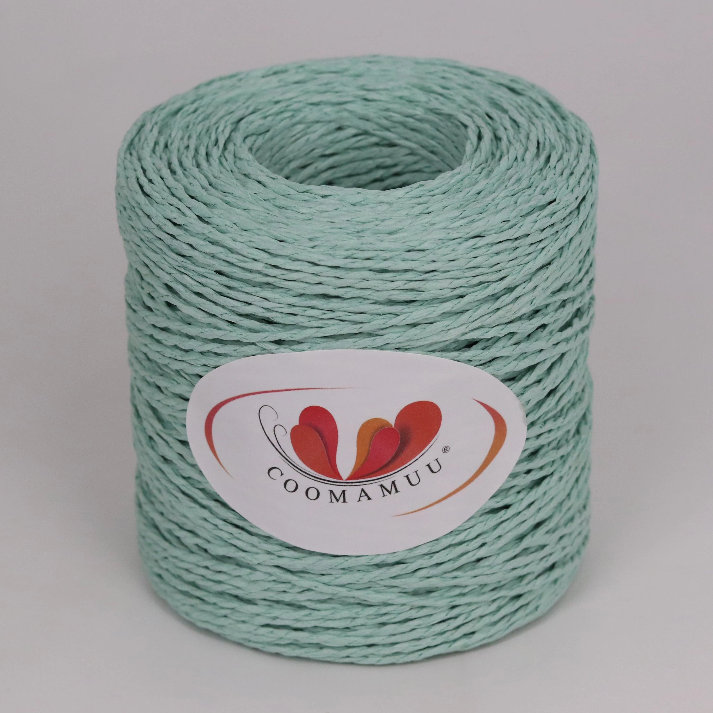Peris Gems T green 100g/ball Raffia Yarn Kintting Paper Straw Yarn for Crocheting Hat Fancy Yarn Flower Packing Summer Fashion Handmade Material SHEIN Amazon Temu